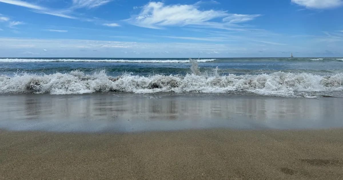 Playa del Rey Beach LA s Last Quiet Spot Now travel landscape